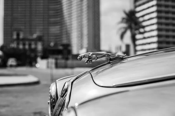 20Bets Kasino Android/iOS aplikace